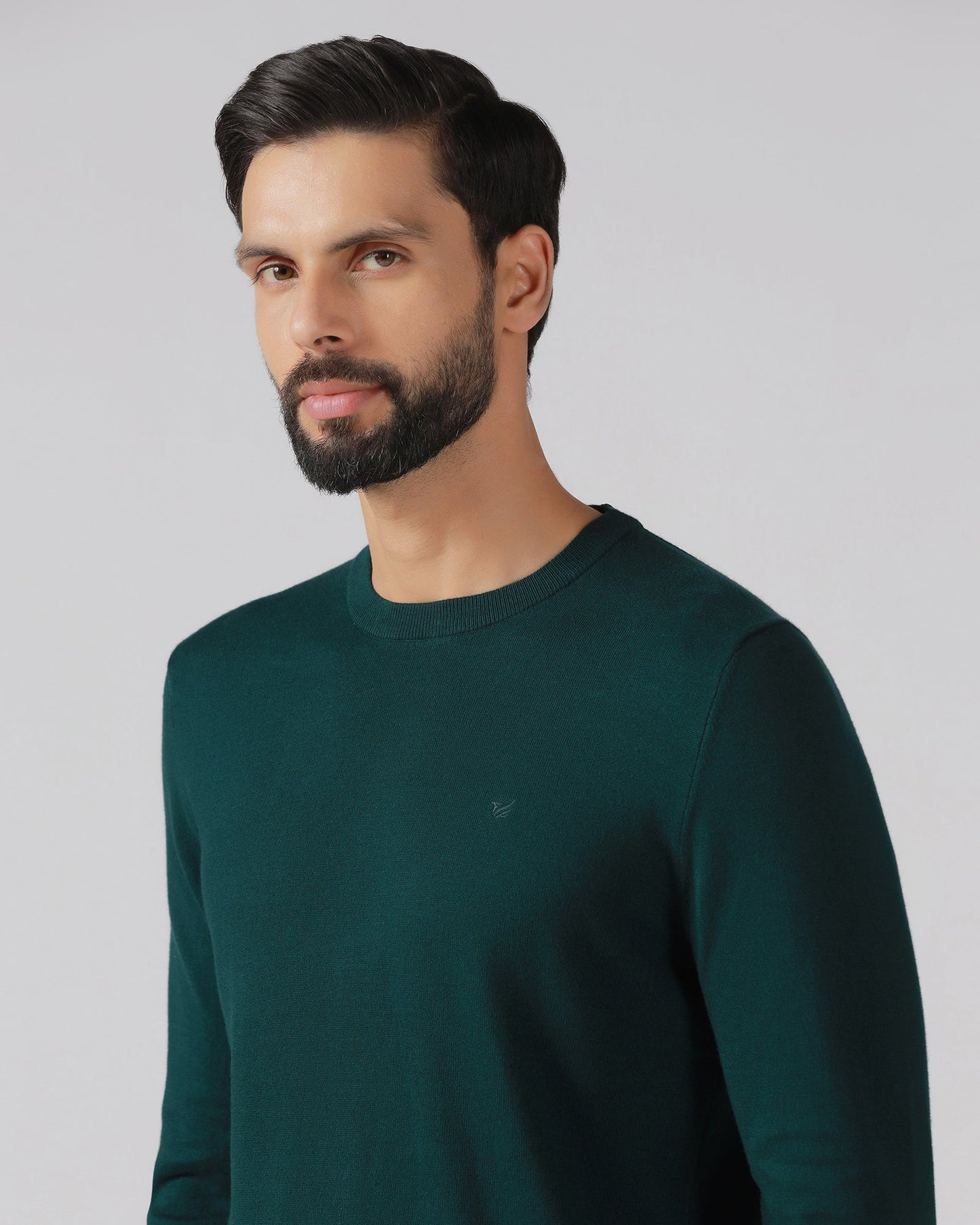 Beetle Crew Neck Solid Sweater - Mario