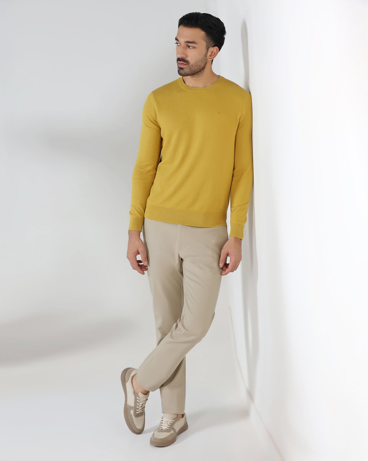 Beige Non Iron Solid Khakis - Tigiris