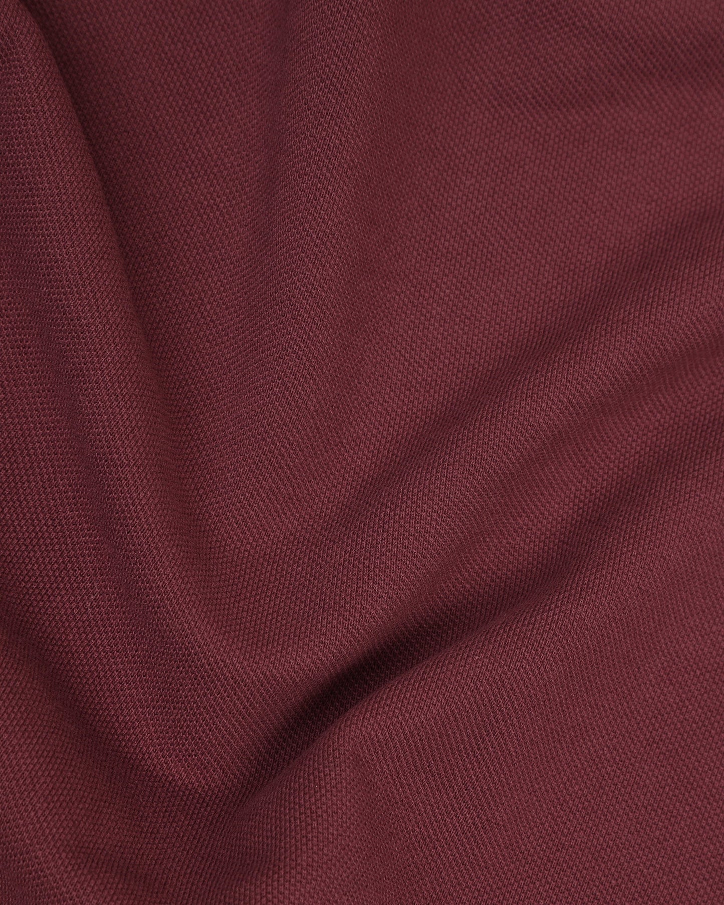 Polo Wild Ginger Solid T-Shirt - Zephyr